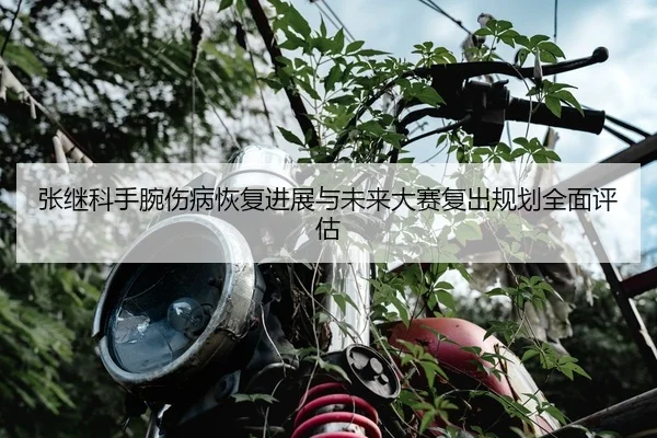 张继科手腕伤病恢复进展与未来大赛复出规划全面评估